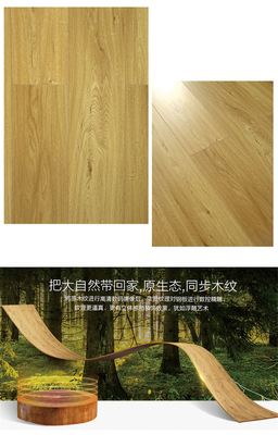 大自然強(qiáng)化地板【依云如風(fēng)LC6606】名品主材包
